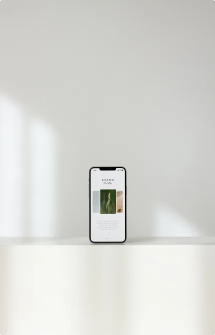 Explore Our Latest Case Studies - BB体育直播