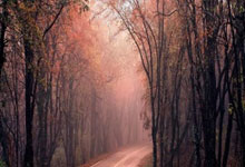 [中超]国安利用角球制造机会 林良铭头球打破僵局.