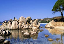 [中超]国安利用角球制造机会 林良铭头球打破僵局.